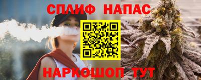 шишки Аргун