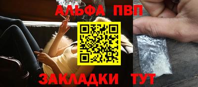 шишки Аргун