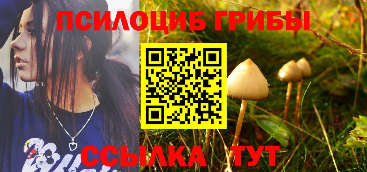 Псилоцибиновые грибы GOLDEN TEACHER Ирбит