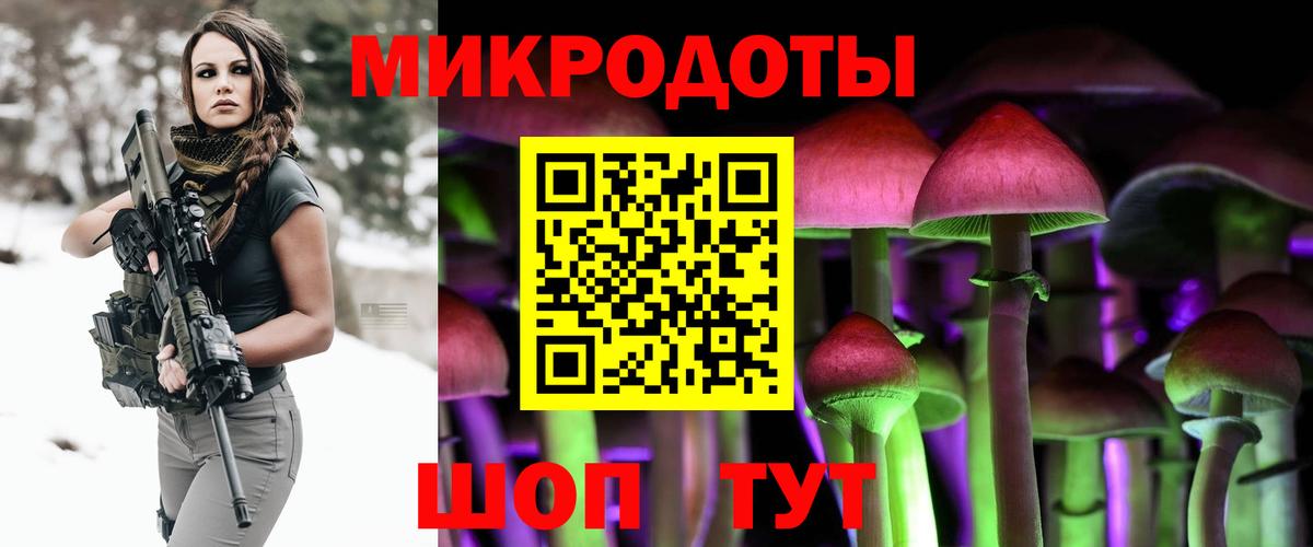 Псилоцибиновые грибы Psilocybine cubensis Ирбит